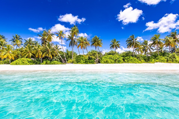 Concepto de naturaleza de playa. Palm Beach en una isla tropical idílica paradisíaca. Paisaje exótico para soñar