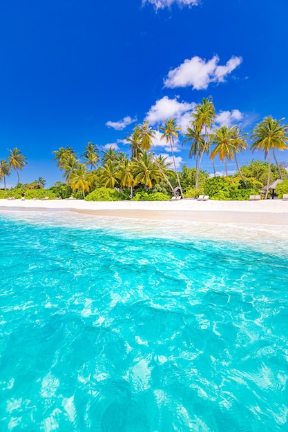 Concepto de naturaleza de playa. Palm Beach laguna cielo soleado tropical isla paraíso idílico. Paisaje exótico