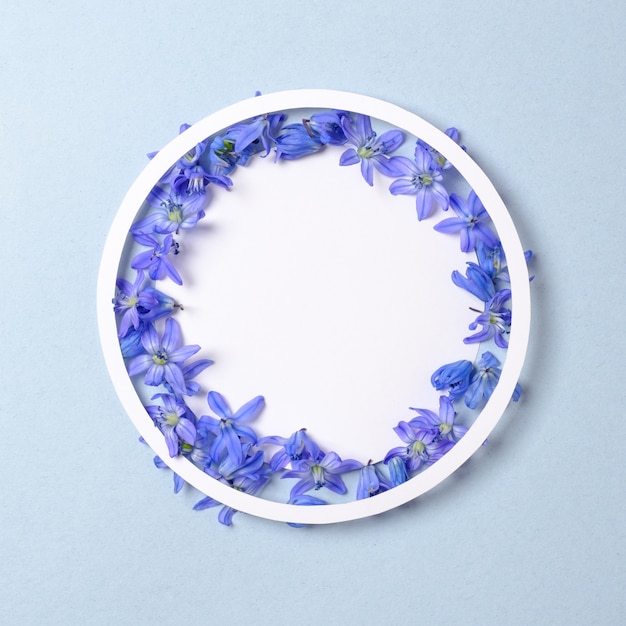 Concepto de naturaleza de primavera. Círculo de papel y flores de color azul sobre fondo azul pastel.