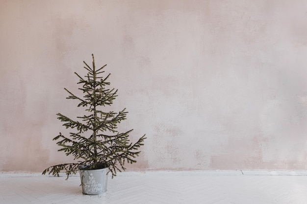 Concepto navideño minimalista estético Abeto de abeto en un balde vintage contra una pared rosa polvorienta neutra