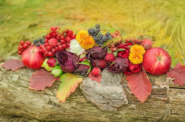 Concepto de otoño y acción de gracias Concepto de naturaleza otoñal