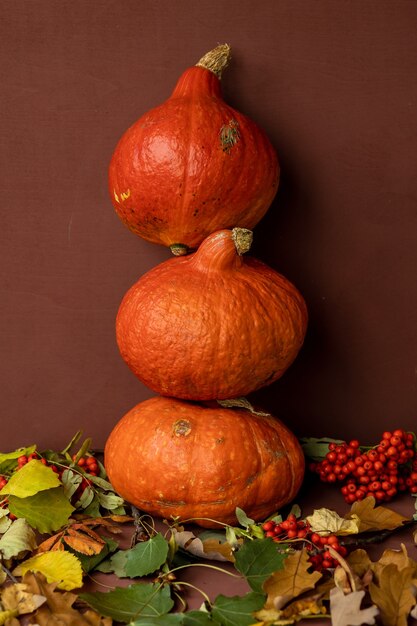 Concepto de otoño con una calabaza sobre un fondo oscuro con hojas de otoño celebrando halloween y