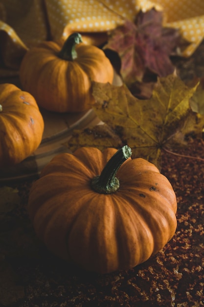 Concepto de otoño con calabazas naranjas estacionales y hojas de arce.