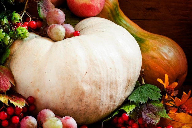 Concepto de otoño con frutas de temporada y fondo de alimentos orgánicos de calabaza cosecha de otoño de la granja