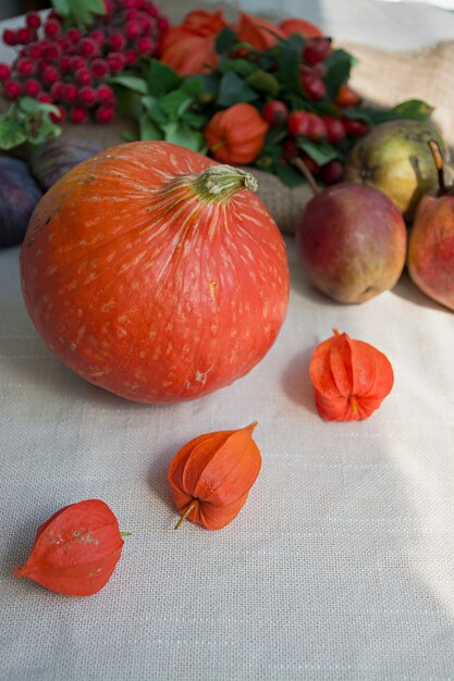 Concepto de otoño con frutas y verduras. Calabaza, higos, hojas de otoño.