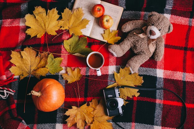 concepto del otoño. hojas y libro