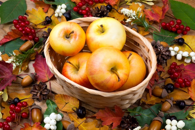 Concepto de otoño con manzanas en la canasta de mimbre