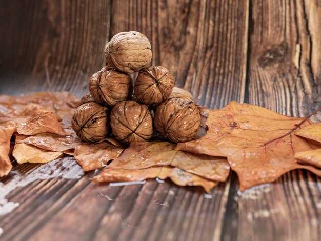 Concepto de otoño de nueces de hojas secas