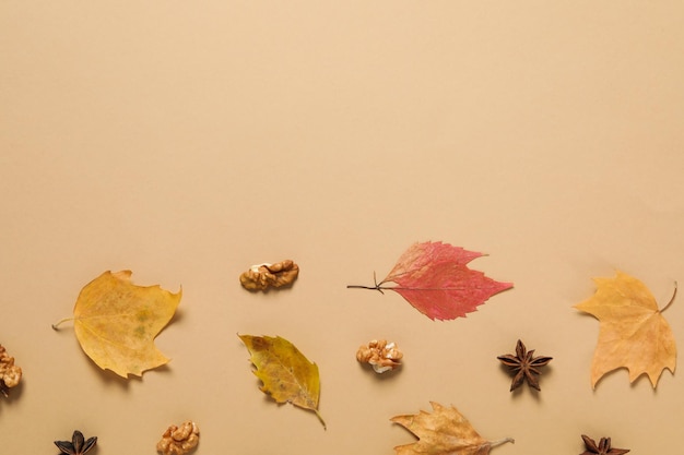 Concepto de otoño otoño composición accesorios espacio para texto