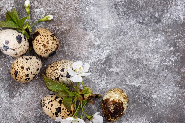 Concepto de pascua huevos de codorniz y flor de primavera