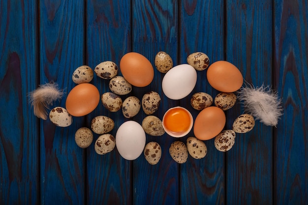 Concepto de pascua de huevos y plumas