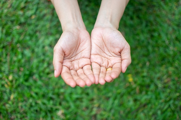 Concepto de la paz de la mano de la mujer que espera en fondo de la hierba verde.