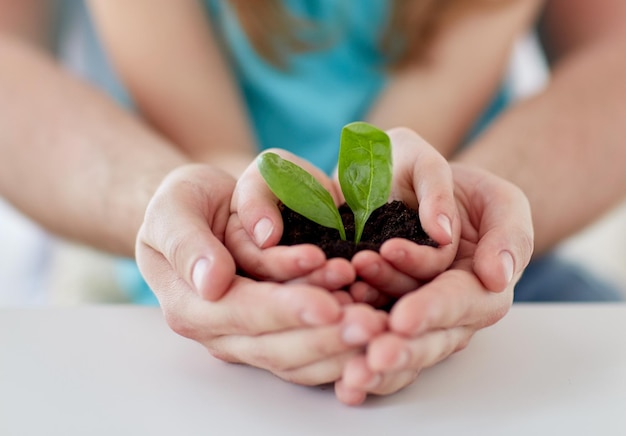 concepto de personas, caridad, familia y ecología - cerca de padre y niña sosteniendo tierra con brotes verdes en manos ahuecadas en casa