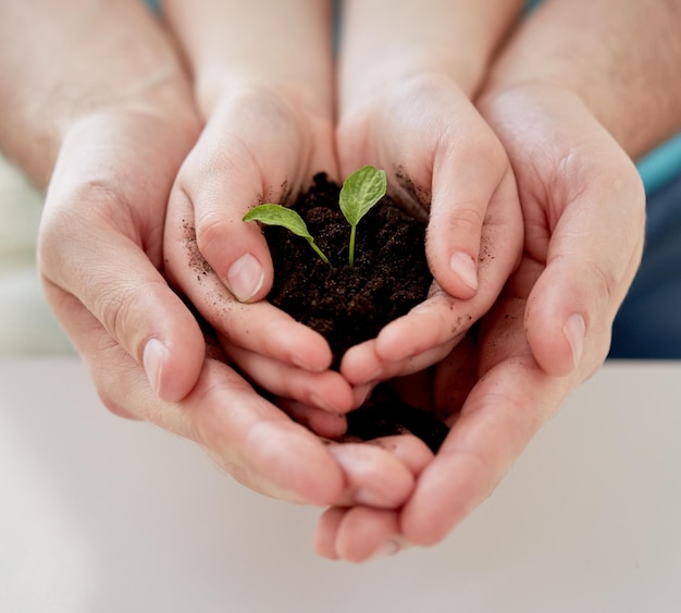 concepto de personas, caridad, familia y ecología - cerca de padre y niña sosteniendo tierra con brotes verdes en manos ahuecadas en casa