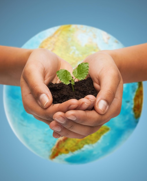 concepto de personas, ecología, medio ambiente, agricultura y alimentos - cierre de la mano de la mujer con brote verde sobre el globo terrestre sobre fondo azul