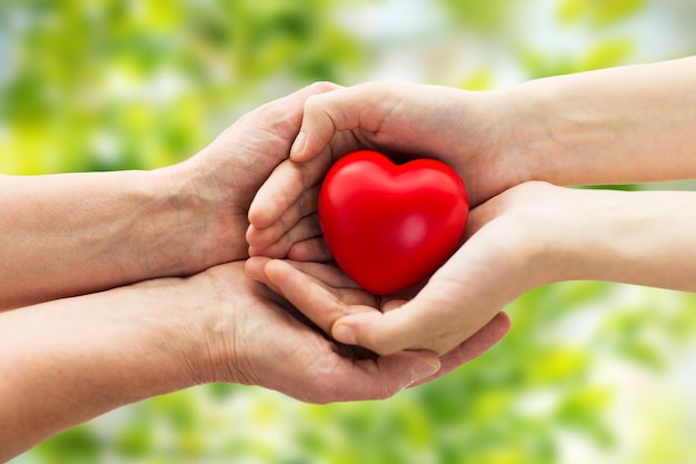 concepto de personas, edad, familia, amor y atención de la salud - cierre de manos de mujeres mayores y mujeres jóvenes sosteniendo el corazón rojo sobre un fondo natural verde