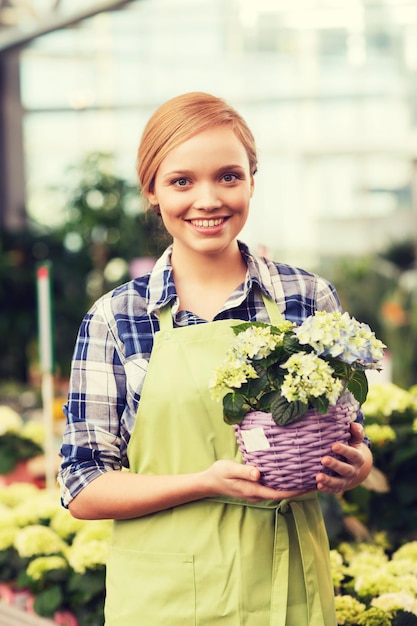 concepto de personas, jardinería y profesión - mujer feliz o jardinero sosteniendo flores en invernadero