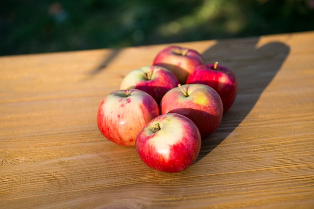 Concepto de picnic. Manzanas frutos rojos maduros. Concepto de nutrición saludable. Fruta y vitamina. Manzanas rojas recogidas como cosecha. Cosecha de manzanas de otoño. Concepto de cosecha de manzana. Telón de fondo de frutas orgánicas maduras.