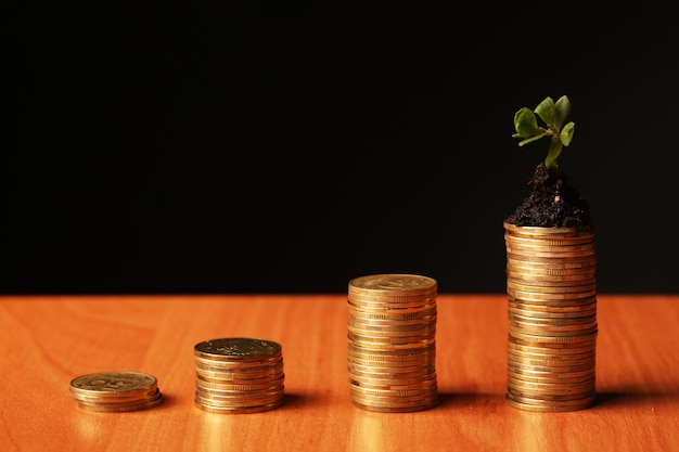 Foto concepto de una planta y muchas monedas de oro.