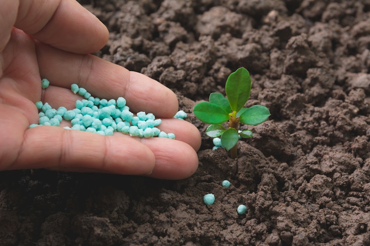 Foto concepto de plántula por mano humana aplicar fertilizante árbol joven sobre fondo verde