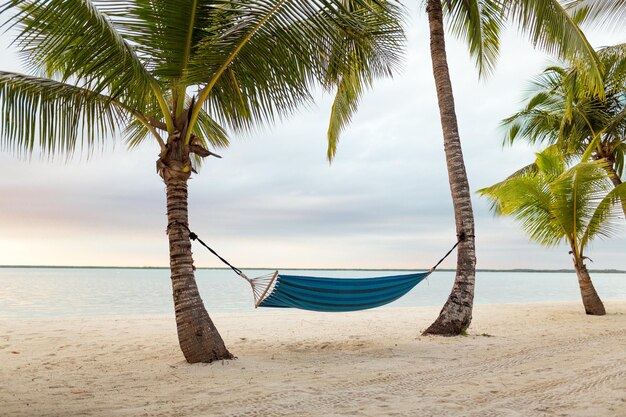 concepto de playa, verano y ocio - hamaca azul en la playa tropical