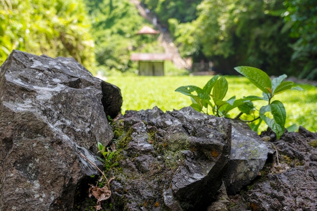 Concepto de presentación de productos las ideas en la naturaleza, las rocas con fondos naturales de bokeh se pueden utilizar para exhibir productos.