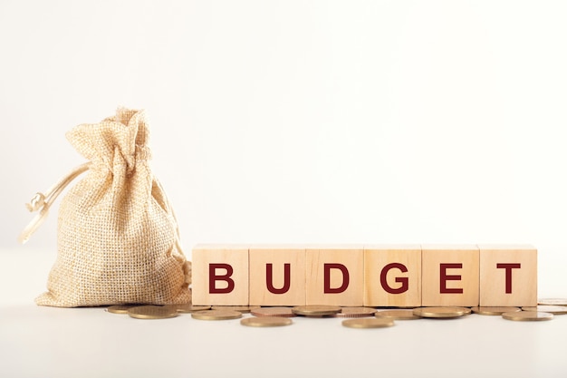 Foto concepto de presupuesto anual de dinero. bolsa de dinero y bloque de cubo de madera con la palabra budget en monedas.