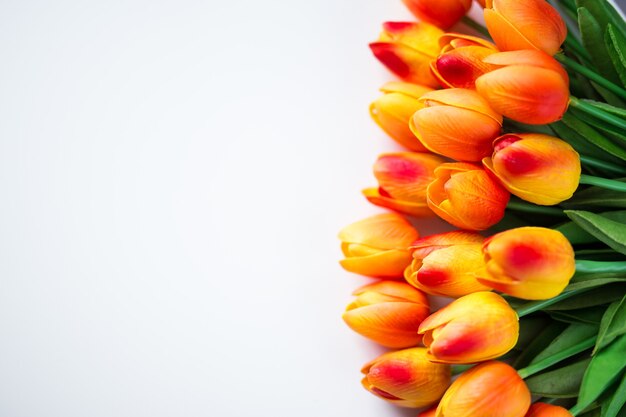 Concepto de primavera o verano - flores de tulipán con espacio de copia sobre fondo blanco.