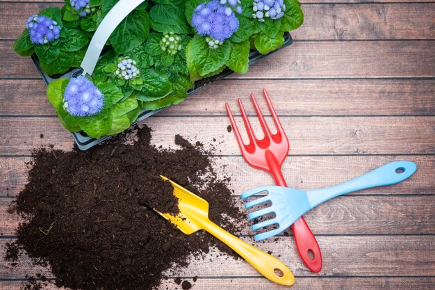 Concepto Primavera plantando armonía y belleza Flores azules y herramientas de jardín espacio plano para texto