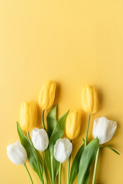 Concepto de primavera. Vista superior de hermosos tulipanes amarillos y blancos sobre fondo amarillo