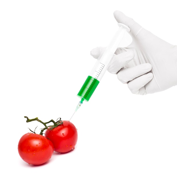 Foto concepto de producto de ogm inyección de tomate aislado