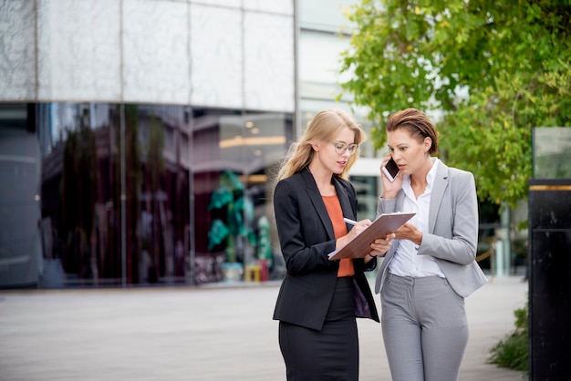 Concepto que habla de los colegas corporativos de la empresaria