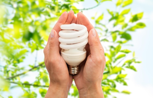 Foto concepto de reciclaje, electricidad, medio ambiente y ecología - cierre de manos sosteniendo una bombilla o lámpara de ahorro de energía sobre fondo natural verde