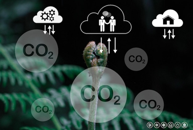 Foto concepto de reducción de las emisiones de co2 medio ambiente limpio y amigable sin emisiones de dióxido de carbono