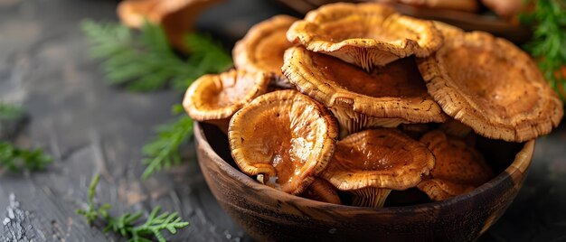 El concepto de Reishi Mushrooms ImmuneBoosting Elixir Reishi mushrooms ImuneBoosting Health Benefits Superfood Elixir
