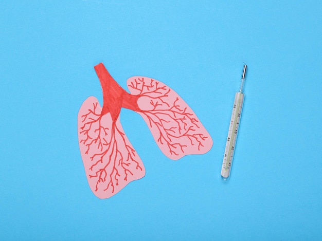 Concepto de salud pulmonar Tratamiento y diagnóstico Pulmones humanos cortados en papel y termómetro sobre fondo azul Vista superior