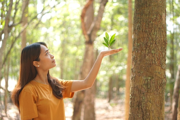 Concepto de salvar al mundo Mujer asiática sosteniendo un árbol pequeño