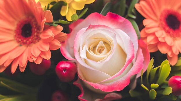 Concepto de San Valentín o Día de la Madre Primer plano de flor rosa rosa en ramo