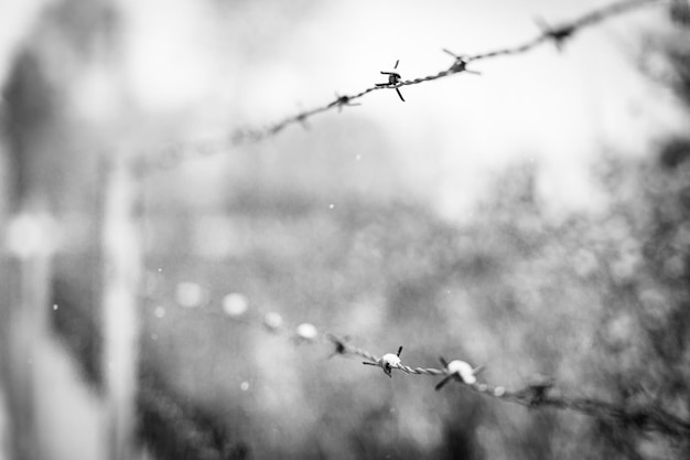 Foto concepto de la segunda guerra mundial, cerca de alambre de púas contra el frío fondo invernal en blanco y negro