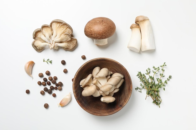Concepto de setas de comida de otoño cosecha de otoño