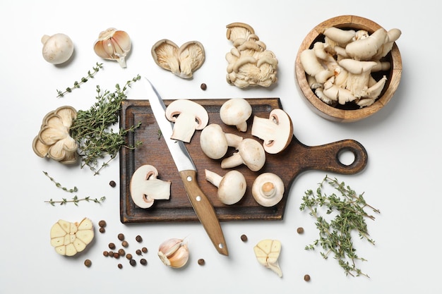 Concepto de setas de comida de otoño cosecha de otoño