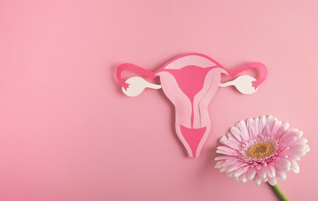 Concepto de sistema reproductivo de salud de la mujer Modelo de útero y flor sobre fondo rosa