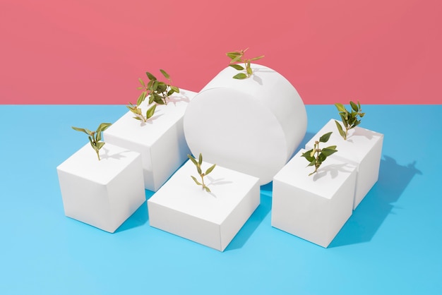 Foto concepto de sostenibilidad con plantas que crecen a partir de formas geométricas en blanco.