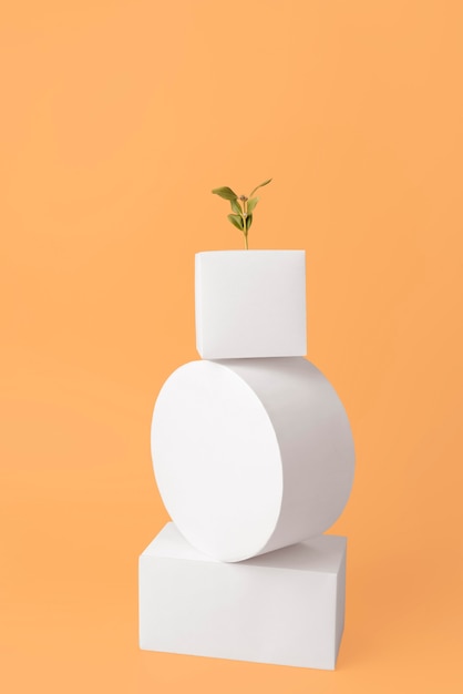 Foto concepto de sostenibilidad con plantas que crecen a partir de formas geométricas en blanco.