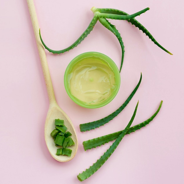 Concepto de spa minimalista con hojas de aloe vera