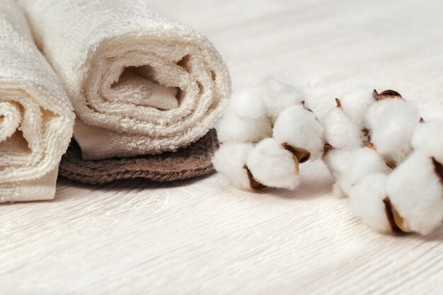 Concepto de spa. Planta de flores de algodón y toalla enrollada de algodón. Foto entonada