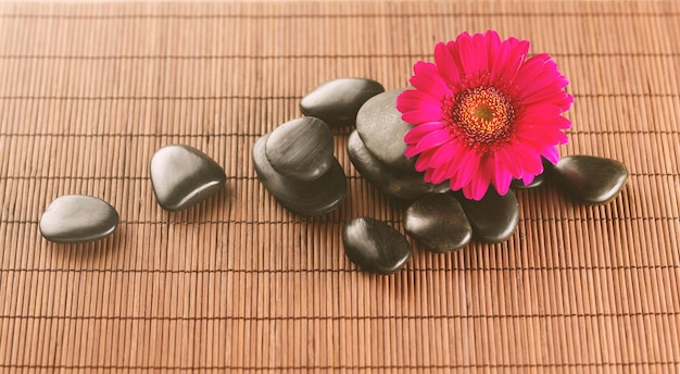 concepto de spa, salud y belleza - piedras de masaje con flores en la alfombra