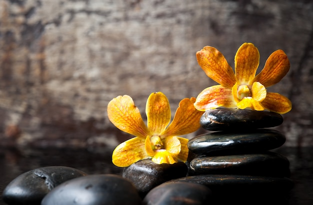 concepto de spa zen piedras y orquídea sobre fondo de madera