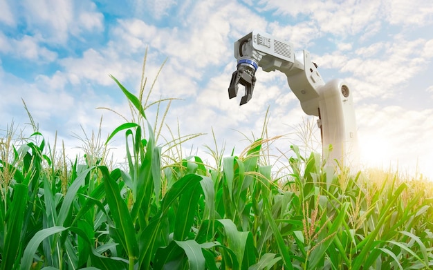 Concepto de tecnología agrícola con brazo robótico en el campo