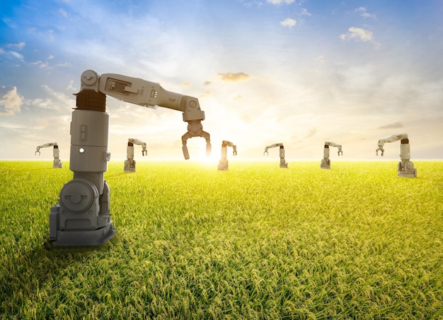 Concepto de tecnología agrícola con robot asistente en el campo